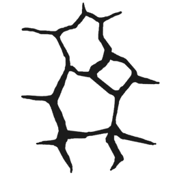 Stone Cracks