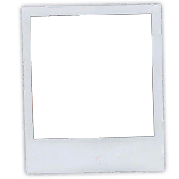 Polaroid Overlay.png