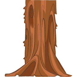 Redwood Trunk