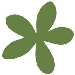 Palm Tree Leaf 9