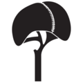 Thumbnail for version as of 17:09, 9 April 2025