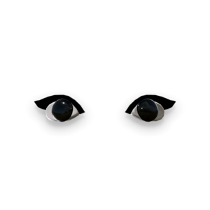 Costume Unthemed Sackgirl Eyes Icon.png