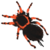 Sticker Mexico Desert Spider.png