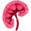Sticker Eve Asylum Body Kidney.png