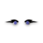 Costume Space Cosmic Eyes Icon.png