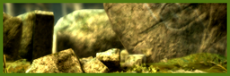 Background India Temple Icon.png
