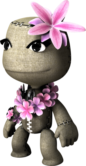 Render Common Costume Hula Perspective.png