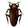 Sticker SpookyMansion Cockroach.png