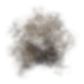 Thumbnail for version as of 03:09, 14 June 2025