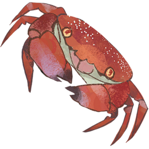 Sticker DLC DeepSea Animal Crab.png