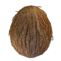 Thumbnail for version as of 08:23, 27 October 2025