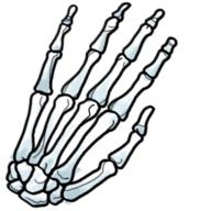 Sticker Mexico Graveyard Skelly Hand.png