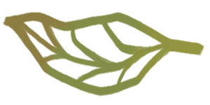 Sticker Zen Foliage Leaf 5.png