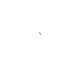 Minimap for Savannah Rally