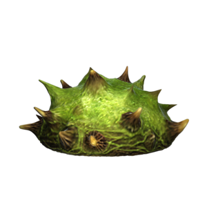 Render Move Object Conker Shell.png