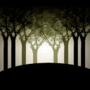Dark Old Darkwood