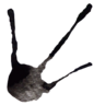 Sticker Victoria Lab Realistic Black Dribble 5.png