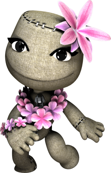 File:Render Common Costume Hula Action.png