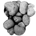 Thumbnail for version as of 18:00, 15 November 2023