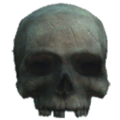 Thumbnail for version as of 21:55, 3 January 2024