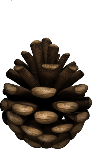 Render DLC Move Object Pinecone.png