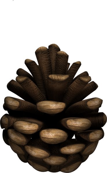 File:Render DLC Move Object Pinecone.png