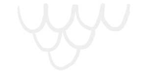 Sticker Zen Doodle Scales 2.png
