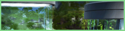Background Eve Asylum Icon.png