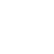 Sticker Unthemed Butterfly White.png