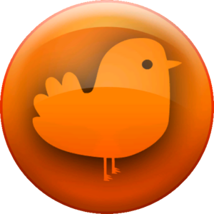 Pin Play General Early Bird.png